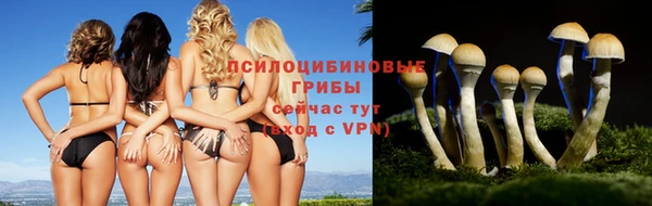 герыч Вязьма