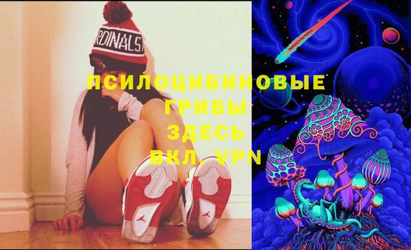 гидропоника Вязники